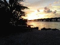 Perfect view