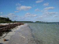 Looking north on the Atlantic side.